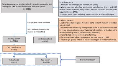 Frontiers | Deep learning for screening primary osteopenia and 